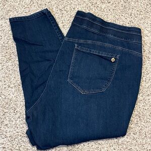 Democracy Women’s Plus Jeans SZ 24W - Like New! Pull on style - hard to find!